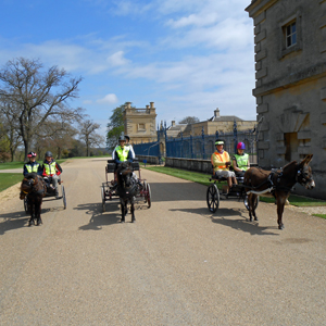 Grimsthorpe 1